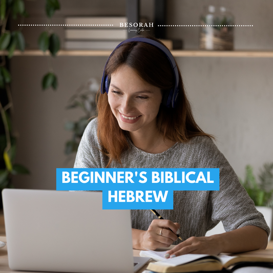 Basic Beginner's Biblical Hebrew I