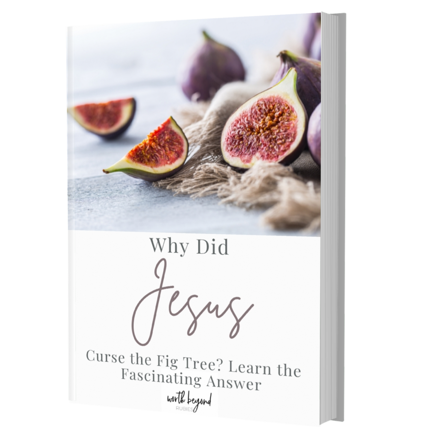 Why Did Jesus Curse the Fig Tree - Learn the Fascinating Answer